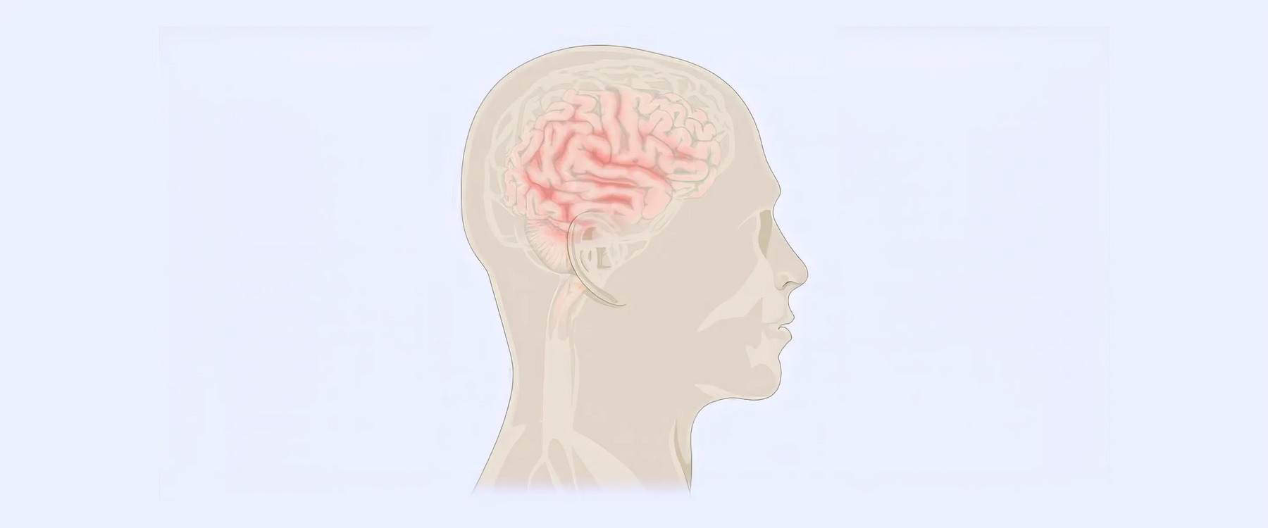 Alzheimer's Disease Illustration