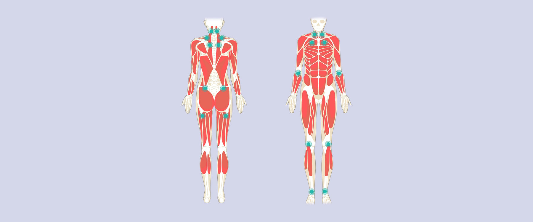 Fibromyalgia Diagram