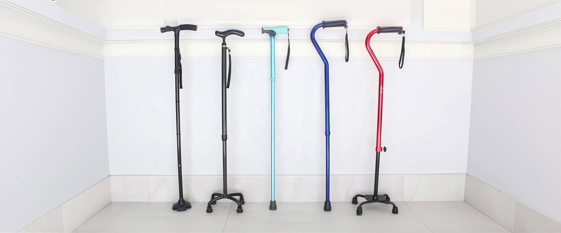 Walking Canes by Vive