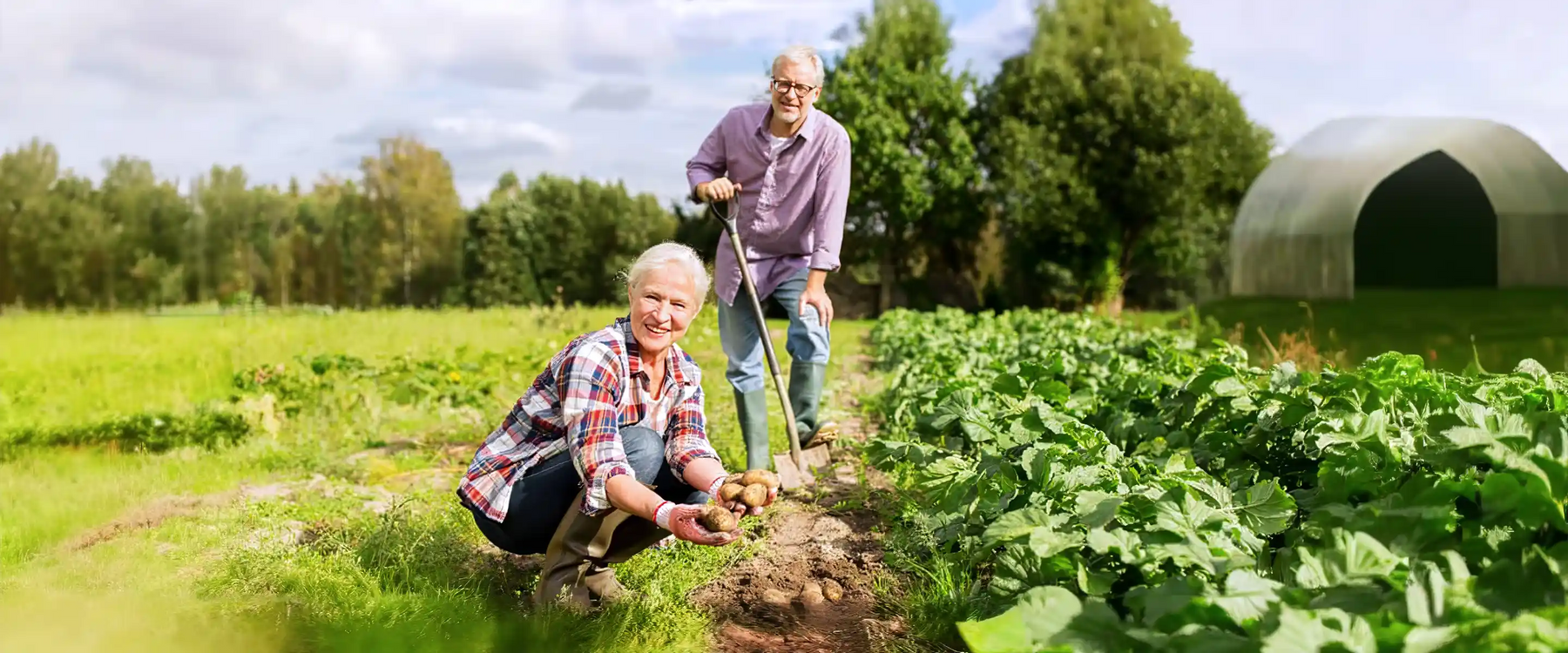 gardening for seniors