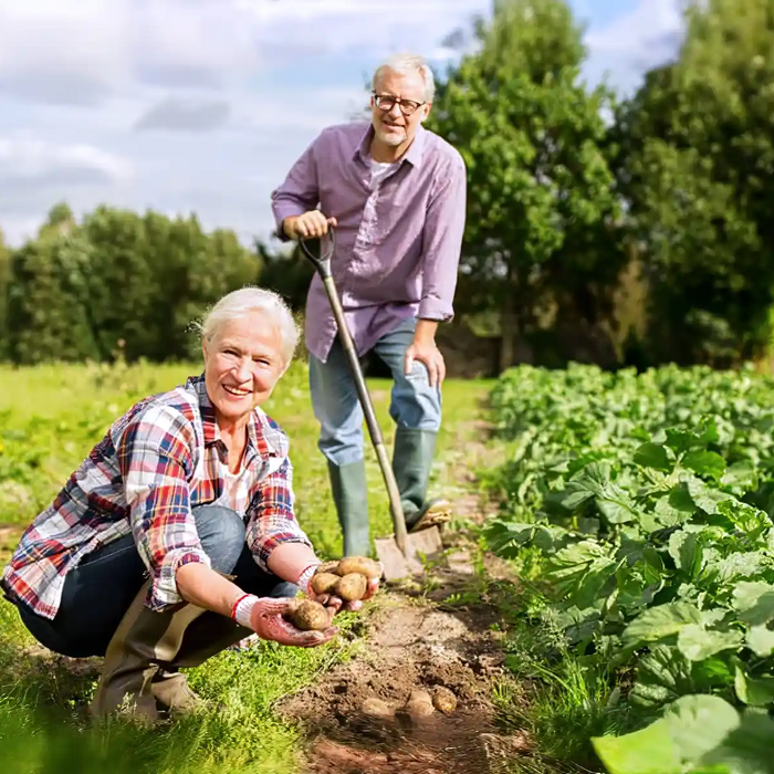 gardening for seniors