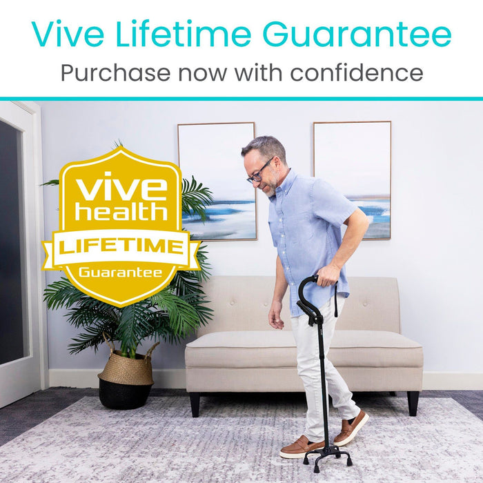 Includes Vive Lifetime Guarantee