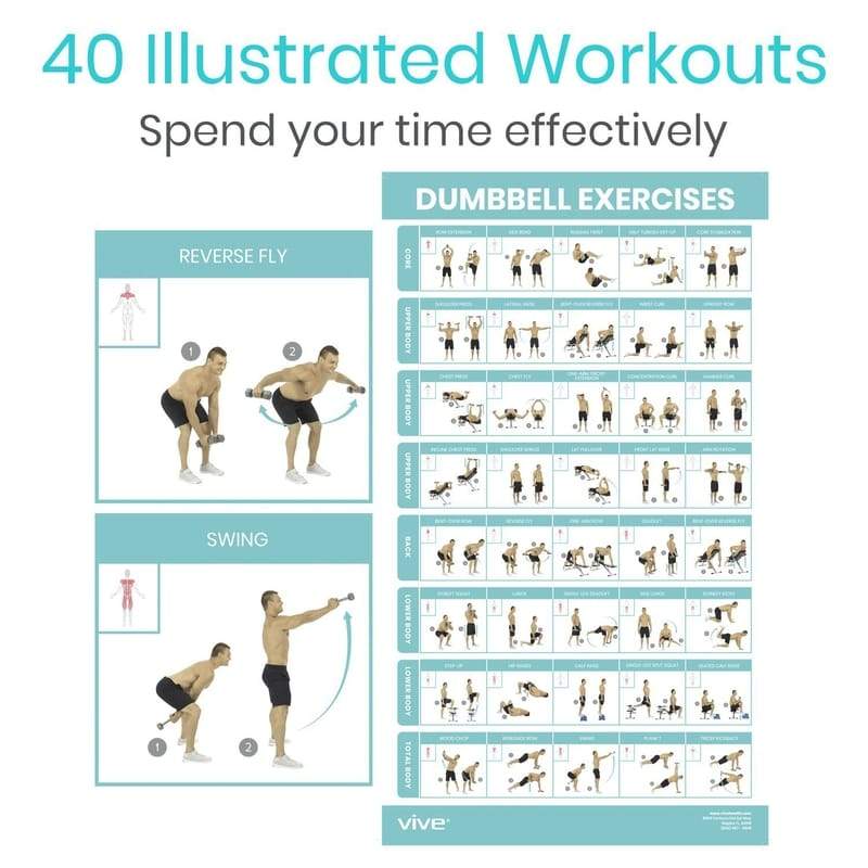  Vive Dumbbell Workout Poster - Home Gym Exercise for Upper,  Lower, Full Body - Laminated Bodyweight Chart for Back, Arm, Core and Legs  - Free Weight Building Guide For Men, Women