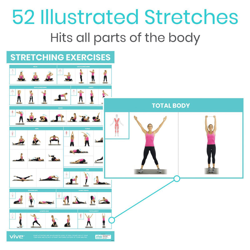 basic stretching chart