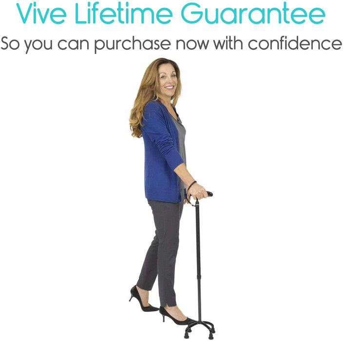 Includes Vive Lifetime Guarantee