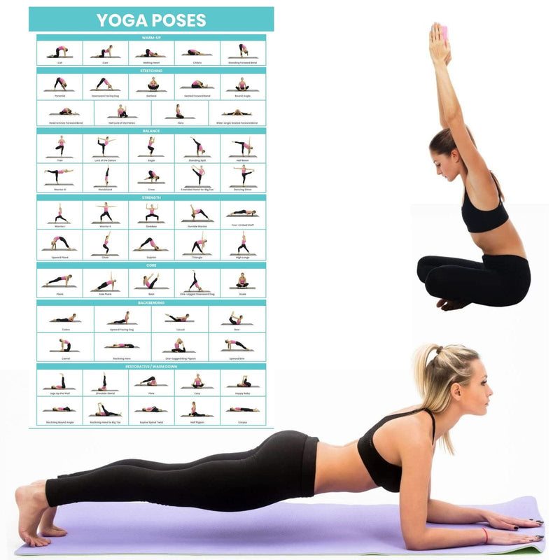 Sportaxis Yoga Poses Poster- 64 Yoga Asanas for Full India | Ubuy